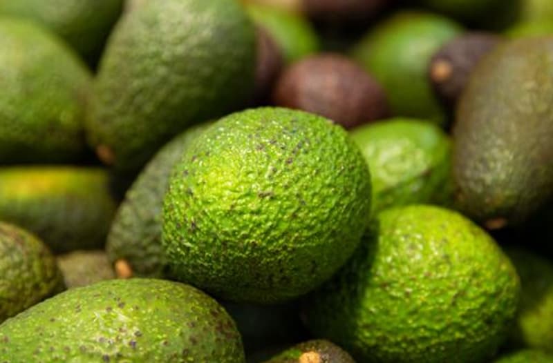 images/1695716159220Procesamiento de aguacate2.jpg